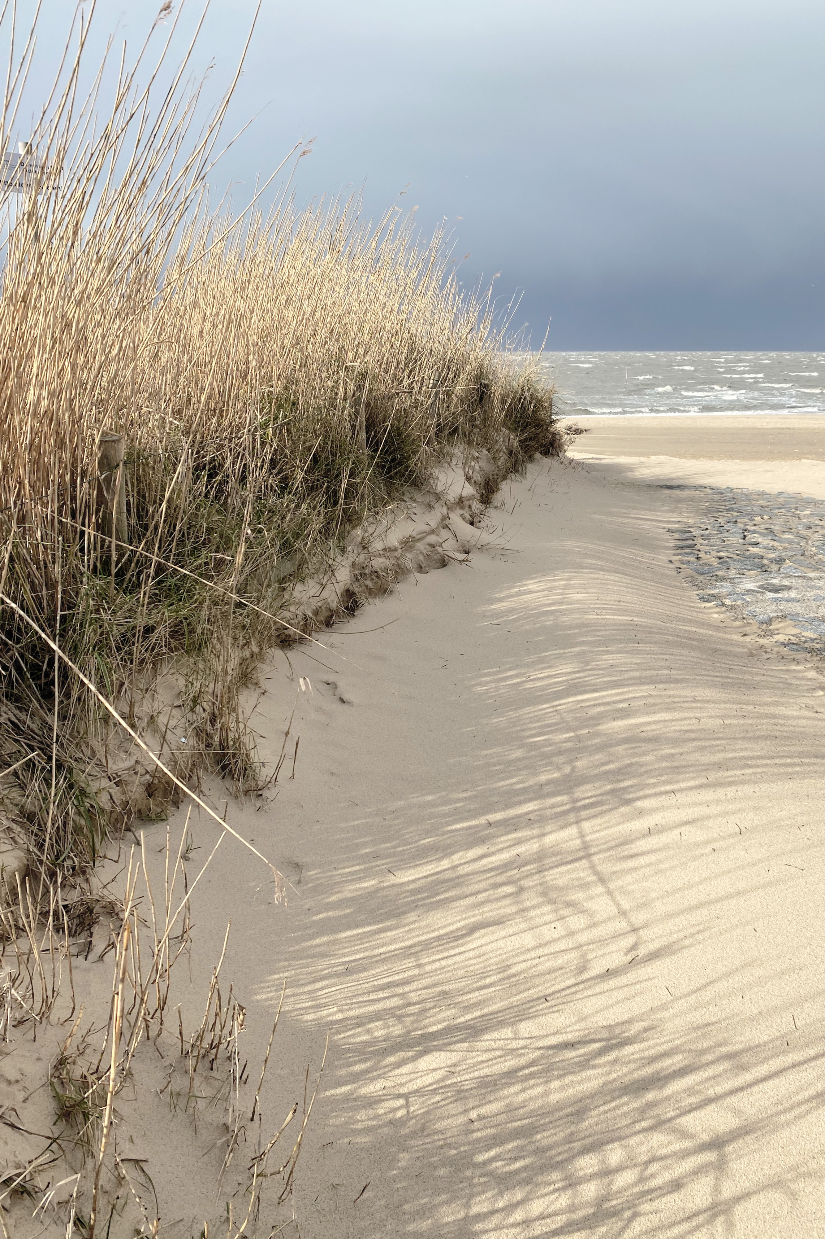 hotel-strandhus-cuxhaven-nordsee-strand-dune.jpg